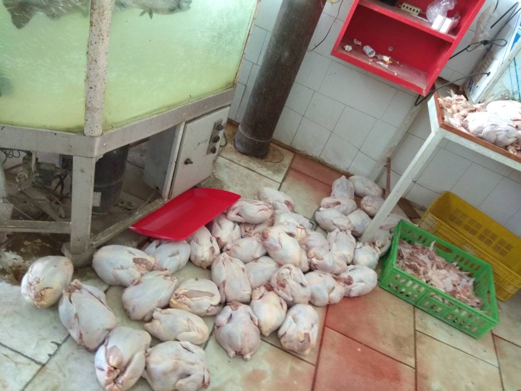 کشف و ضبط 300 کیلوگرم گوشت مرغ غیر بهداشتی در دهدشت/تصاویر